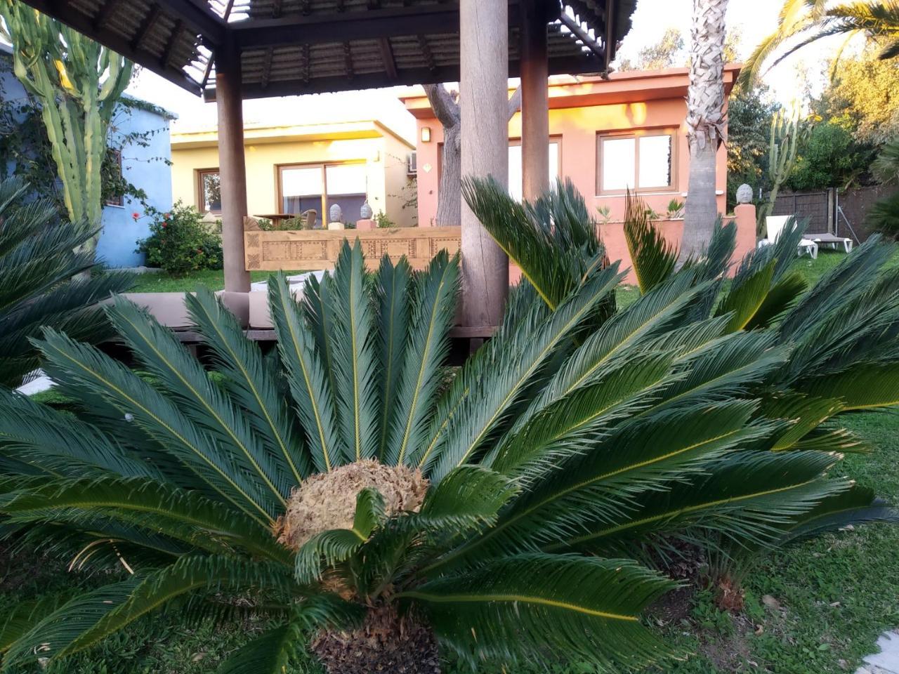 Beach Hotel Dos Mares Tarifa Eksteriør billede